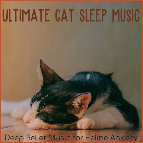 ‎Ultimate Cat Sleep Music: Deep Relief Music for Feline Anxiety - Album ...