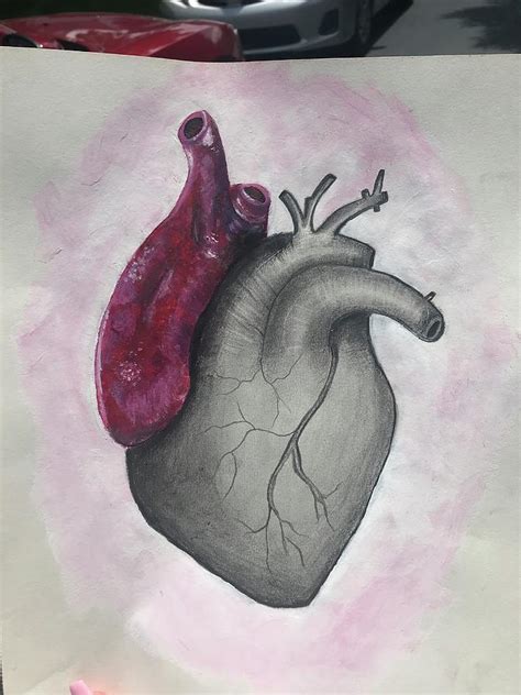 Beating Heart Drawing by Madison Hines - Pixels