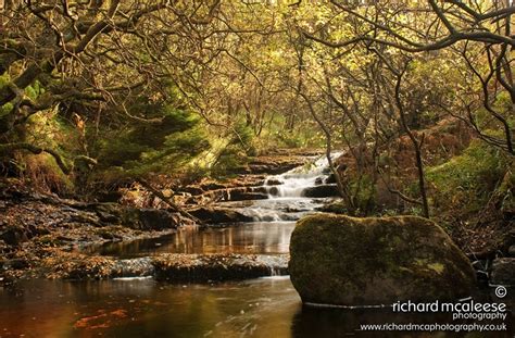 Glenariff Forest Park, Rainbow Trail - WalkNI