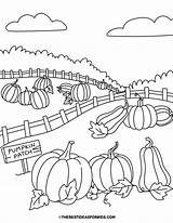 Pumpkin Coloring Pages Free Printables  The Best Ideas For Kids sketch template