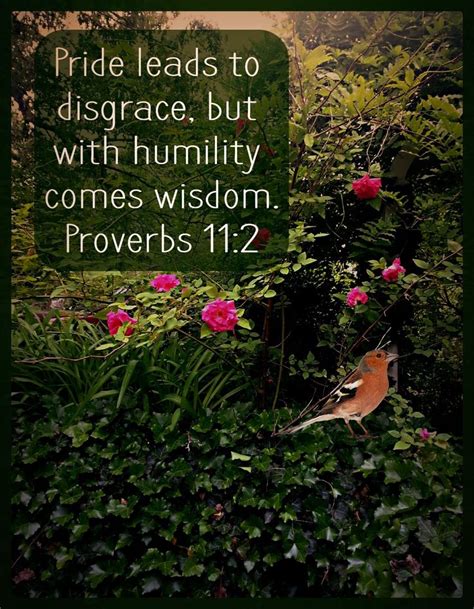 Humility Leads to Wisdom | Bible verse for today, Proverbs 11, Proverbs 11 2