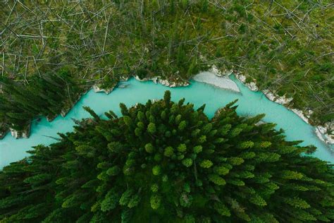 nature, Landscape, Drone, Aerial view, Trees, River Wallpapers HD / Desktop and Mobile Backgrounds