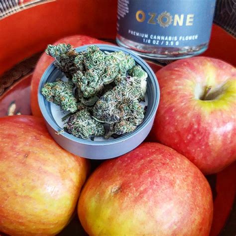 Cultivar Review: Apple Fritter by Ozone - The Highest Critic