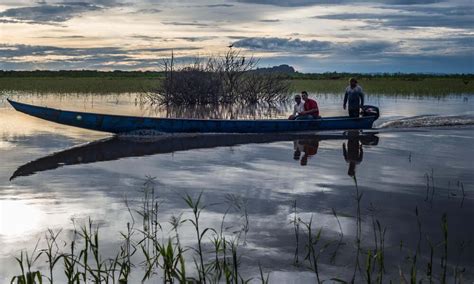 Orinoco Basin Report Card | Projects | WWF