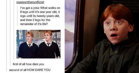 15 'Harry Potter' Tumblr Posts That Will Make You Say "Why, Tumblr, Why?"