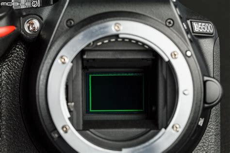 24MP sensors on Nikon DX bodies: An in-depth comparison - Nikon Rumors ...