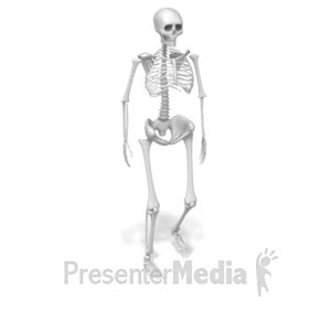 Animated Clipart Skeleton