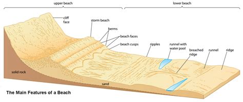 Diagram of COASTS formation of a beach | Quizlet