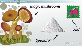 Hallucinogens Drugs Examples