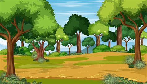 Blank nature forest landscape scene with many trees 1953439 Vector Art at Vecteezy