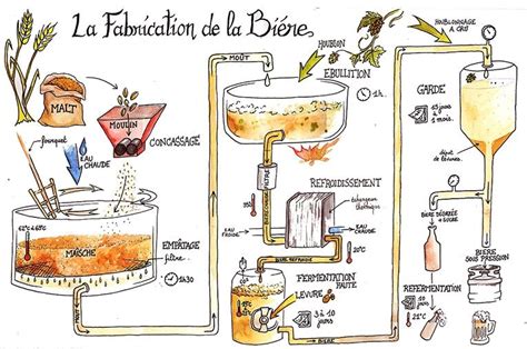 Fabrication bière | Fabrication biere, Brassage biere, Biere francaise