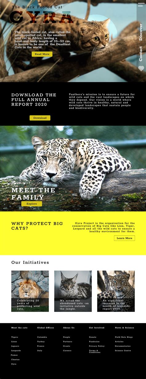 The Gyra Project- The Initiative to protect Big Cats. on Behance