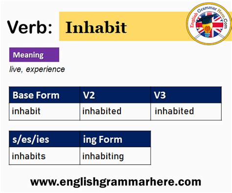 Inhabit V1 V2 V3 V4 V5, Past Simple and Past Participle Form of Inhabit ...