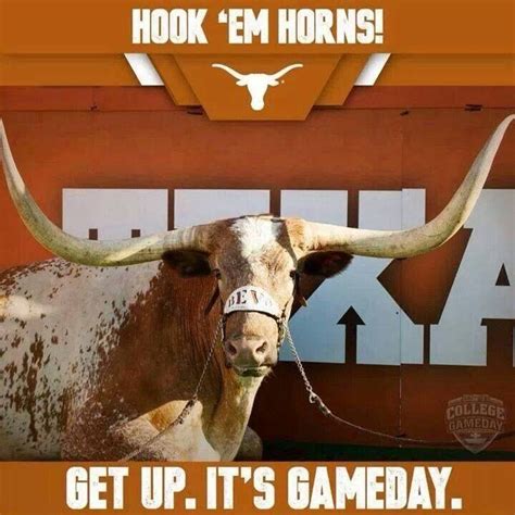 Pin by Beth on Tx Football \ m / | Texas longhorns, Longhorn, Texas humor