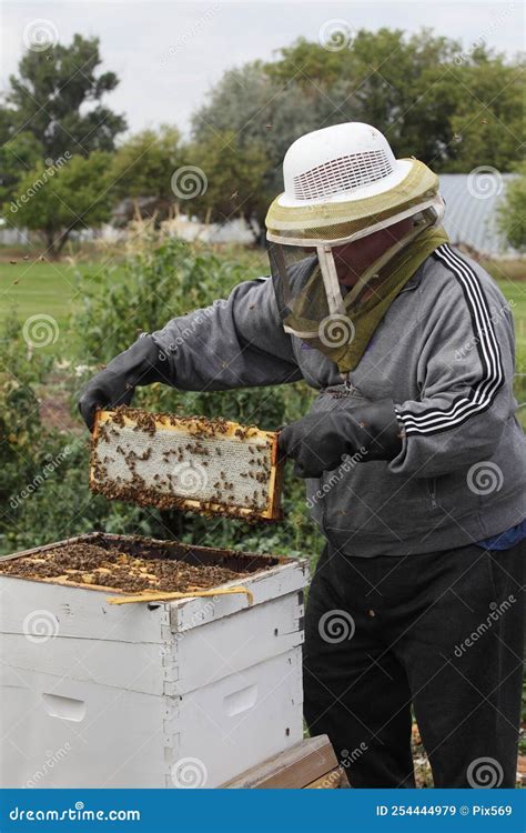 A Bee Keeper Harvesting Honey Stock Image - Image of farm, honey: 254444979