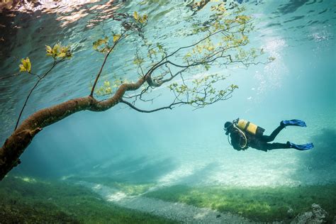 De Grüner See: een Oostenrijks onderwaterparadijs | NLtraveler