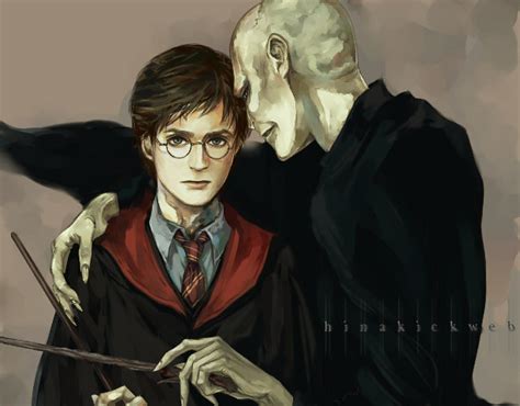 Harry and Voldemort - Harry Potter and Lord Voldemort Fan Art (17369856 ...