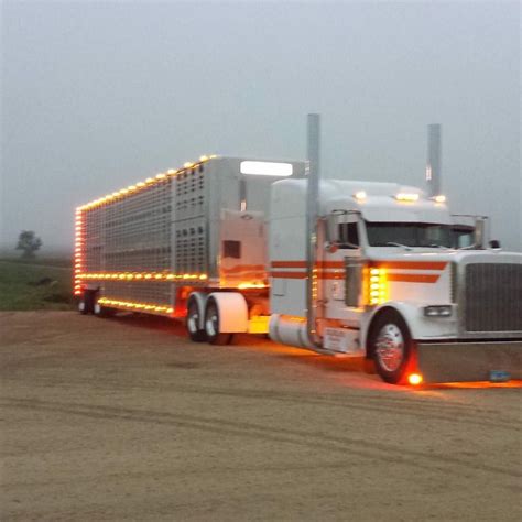 Explore the World of Livestock Hauling with Caleb Moss on Instagram