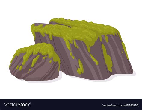 Cartoon moss on stone green grows Royalty Free Vector Image