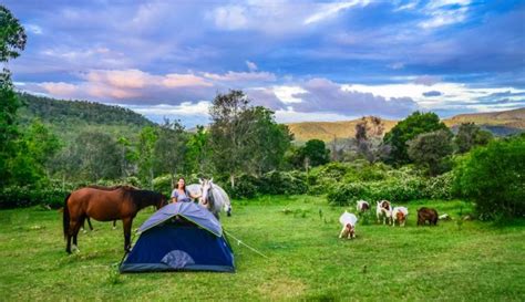 Our MUST DO Camping Toowoomba spots for families | Families Magazine