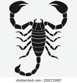 High Resolution Black White Scorpion Tattoo Stock Vector (Royalty Free ...