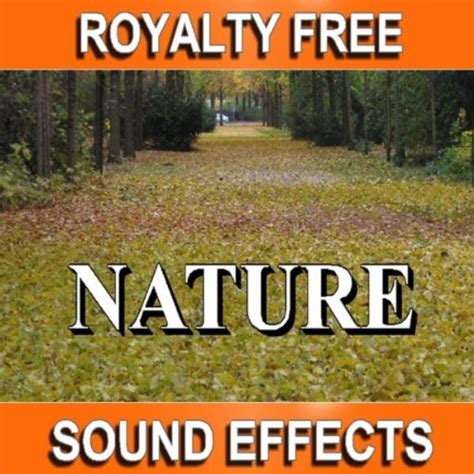 Amazon.com: Royalty Free Nature Sound Effects (172 Tracks) : Sound ...