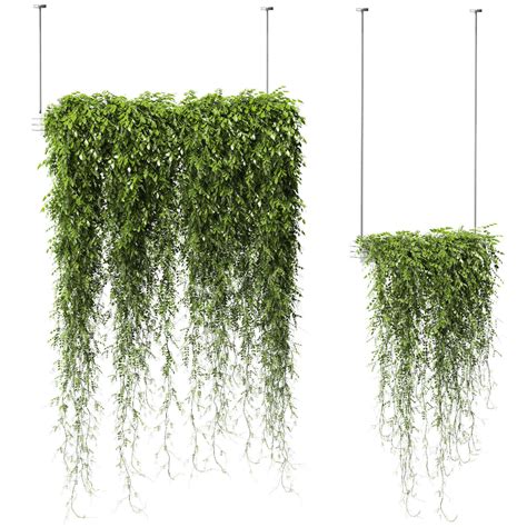 Plants in Hanging Planters v2 - 2 models | 3D model | Hanging plants outdoor, Hanging plants ...