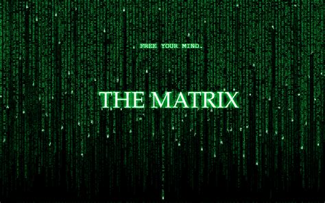 Anonymous: siamo certi di non vivere in The Matrix? | Ki