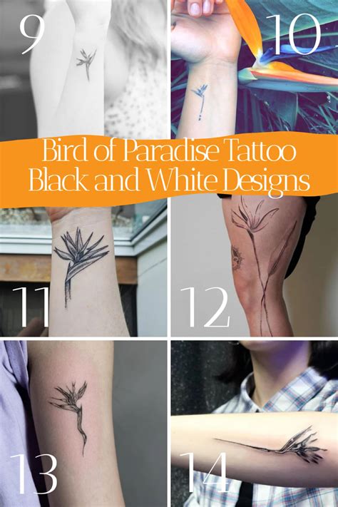 67 Colorful Bird of Paradise Flower Tattoo Designs - TattooGlee | Bird of paradise tattoo ...