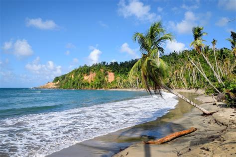 7 Best Beaches in DOMINICA to Visit on the Island