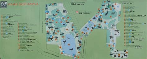 moscow zoo map Google Search