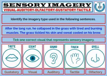 SENSORY IMAGERY - AUDITORY, VISUAL, OLFACTORY, GUSTATORY, TACTILE: BUNDLE