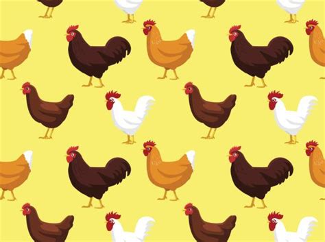 Rhode Island Red Chicken Illustrations, Royalty-Free Vector Graphics & Clip Art - iStock