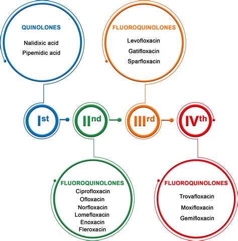 Frontiers | Quinolones as a Potential Drug in Genitourinary Cancer Treatment—A Literature Review