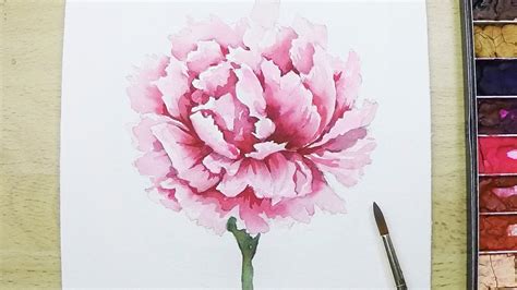 Carnation Flower Drawing Easy / Carnation Flower Graphic Black White Isolated Sketch ... / Draw ...