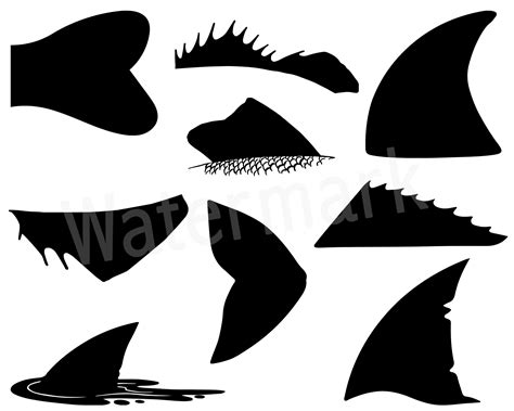 Fish Fins SVG Silhouette Clipart, Bass Fin, Shark Fin, Dolphin Fins ...