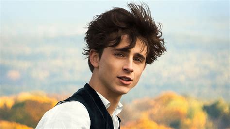 Timothee Chalamet PC Wallpapers - Wallpaper Cave