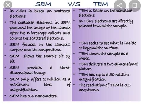 Tem Vs Sem Microscopy