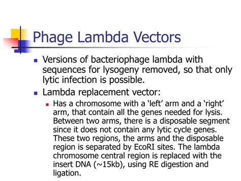 PPT - Recombinant DNA cloning technology PowerPoint Presentation - ID:422595