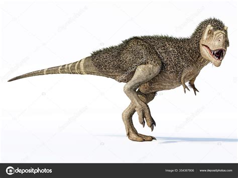 Rex Dinosaur Feathers Photorealistic Rendering White Background Stock ...