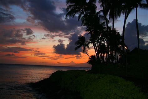 Napili Bay | Napili kai beach resort, Sunset, Maui hawaii vacation