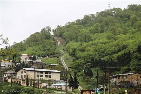 Mehr News Agency - Beautiful spring of Mazandaran