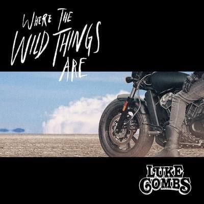 Luke Combs – Where The Wild Things Are Lyrics | Genius Lyrics