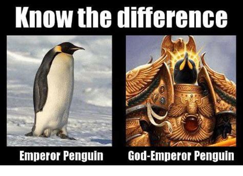 The lack of Emperor Penguins memes is almost heretical : r/Grimdank