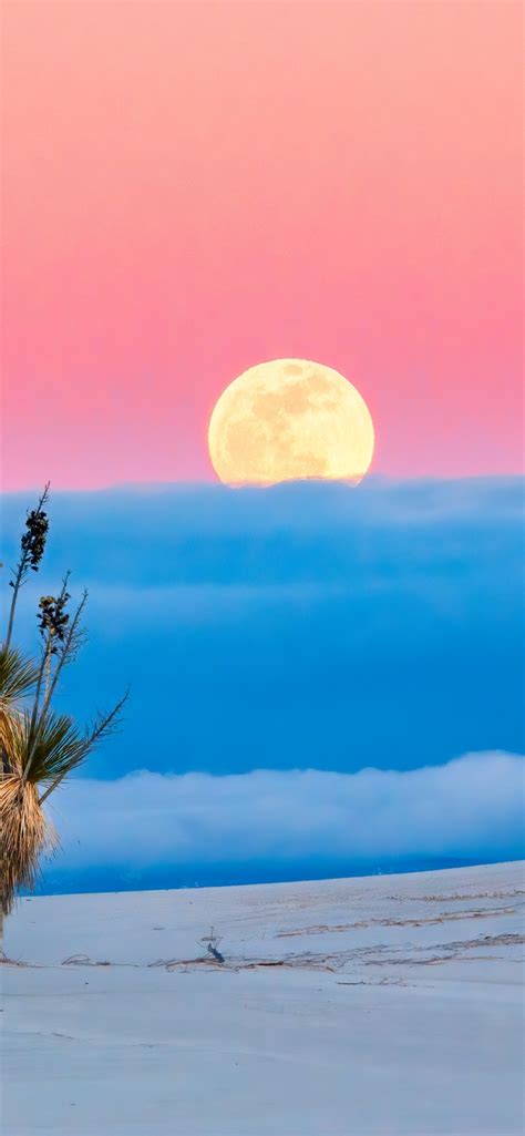 1242x2688 Moonrise Iphone XS MAX Wallpaper, HD Nature 4K Wallpapers, Images, Photos and Background