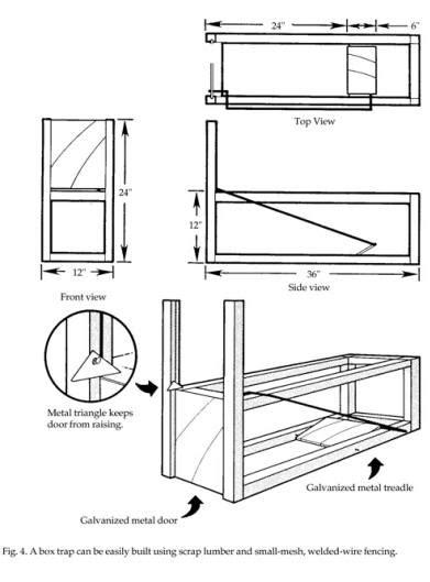 Homemade Coyote Trap Plans - Homemade Ftempo