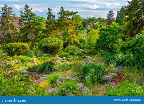 Aarhus Botanical Garden in Denmark Stock Photo - Image of summer ...