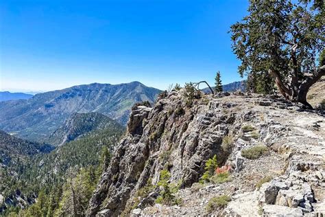 15 Mount Charleston Hiking Trails: Our Favorites