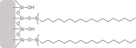 High Performance Liquid Chromatography (HPLC) Basics