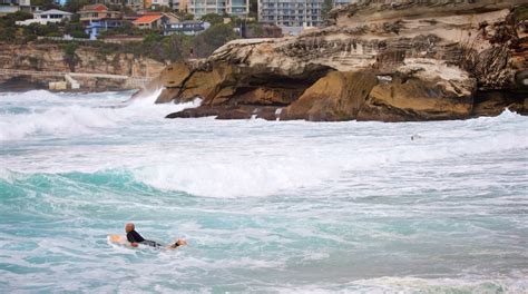 Tamarama Travel Guide: Best of Tamarama, Sydney Travel 2024 | Expedia.co.in